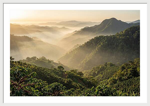 Blue Mountains At Sunrise
