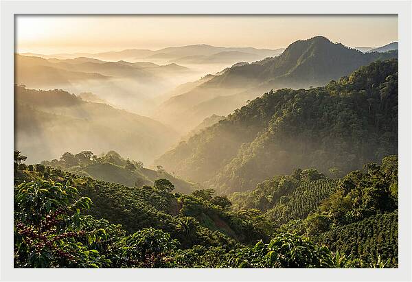 Blue Mountains At Sunrise