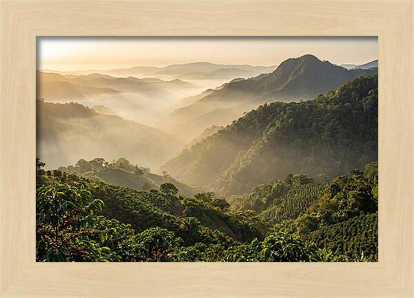 Blue Mountains At Sunrise