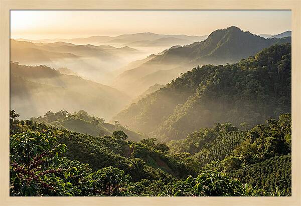 Blue Mountains At Sunrise
