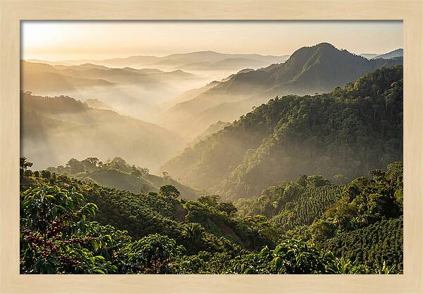 Blue Mountains At Sunrise