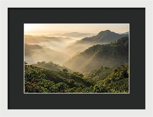 Blue Mountains At Sunrise