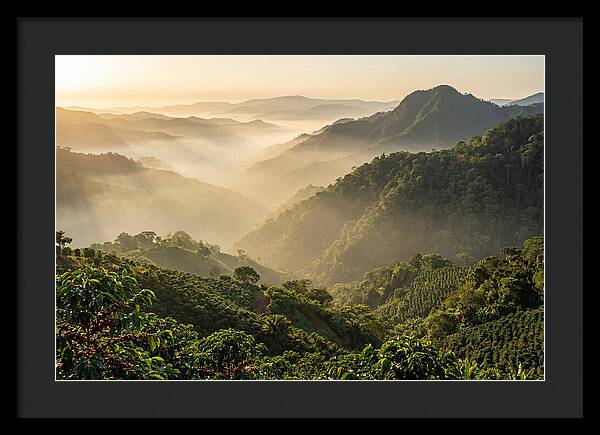 Blue Mountains At Sunrise