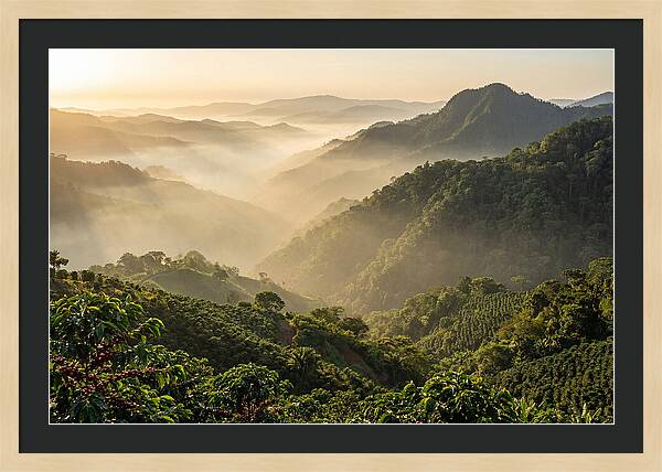 Blue Mountains At Sunrise
