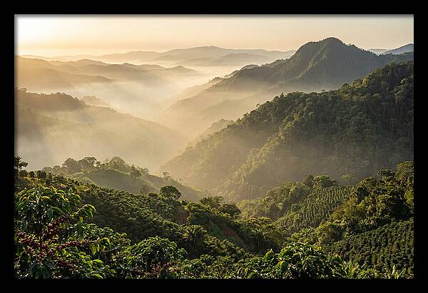 Blue Mountains At Sunrise