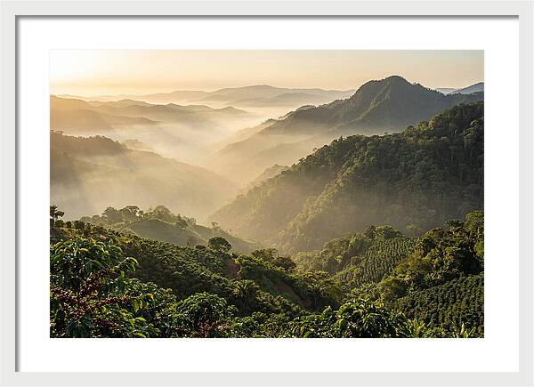 Blue Mountains At Sunrise