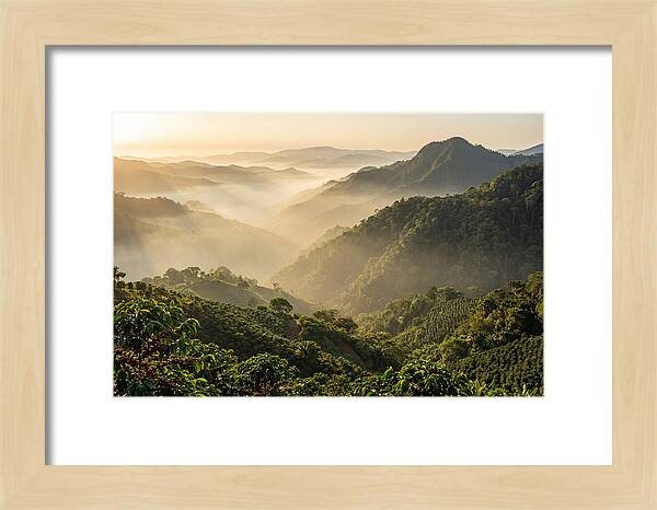 Blue Mountains At Sunrise