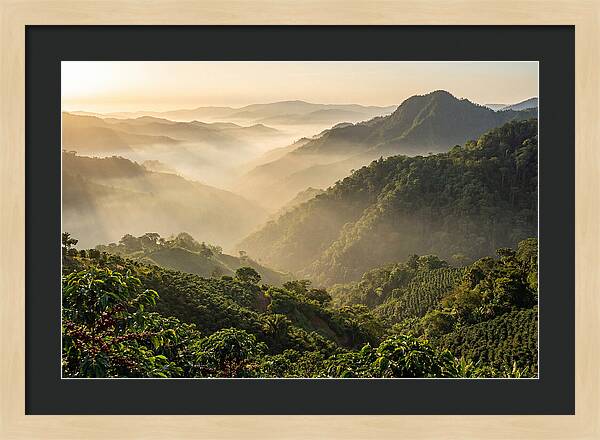 Blue Mountains At Sunrise