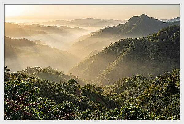 Blue Mountains At Sunrise