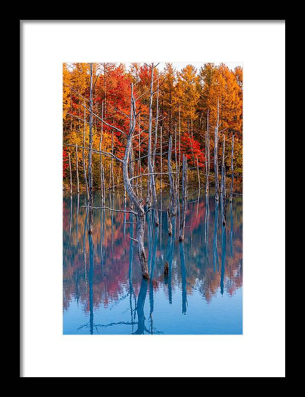 Blue Pond Reflections