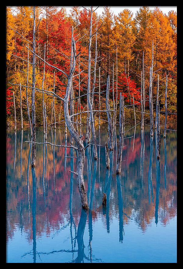 Blue Pond Reflections