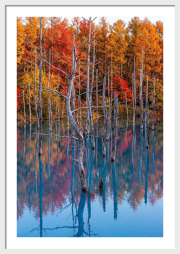 Blue Pond Reflections