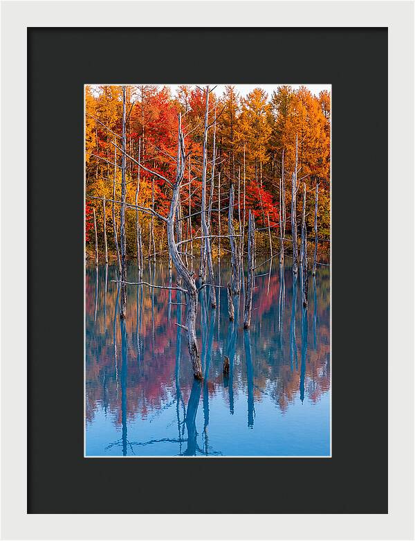 Blue Pond Reflections