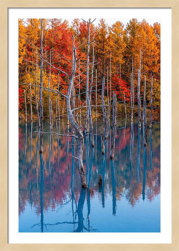 Blue Pond Reflections