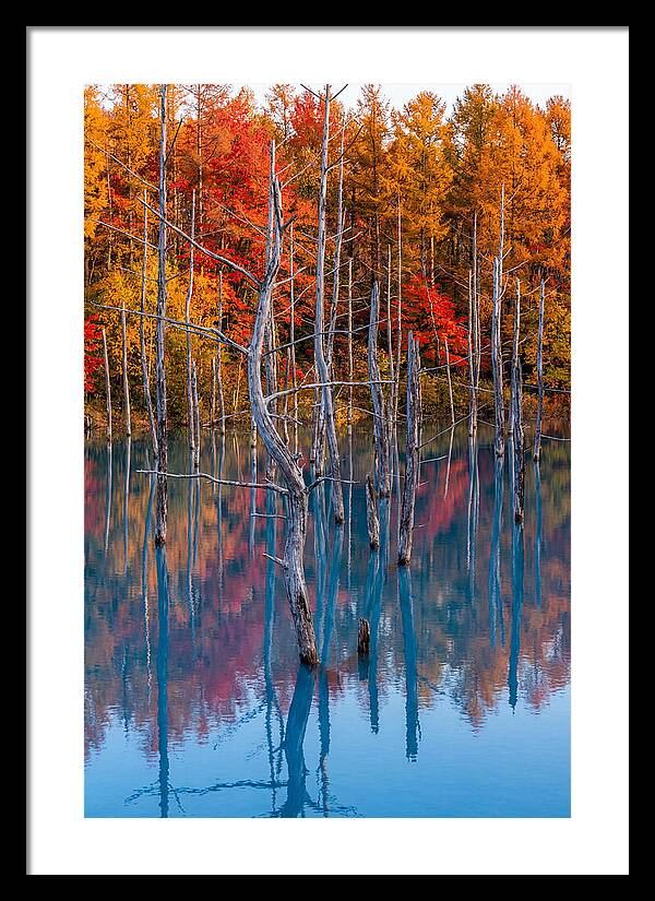 Blue Pond Reflections