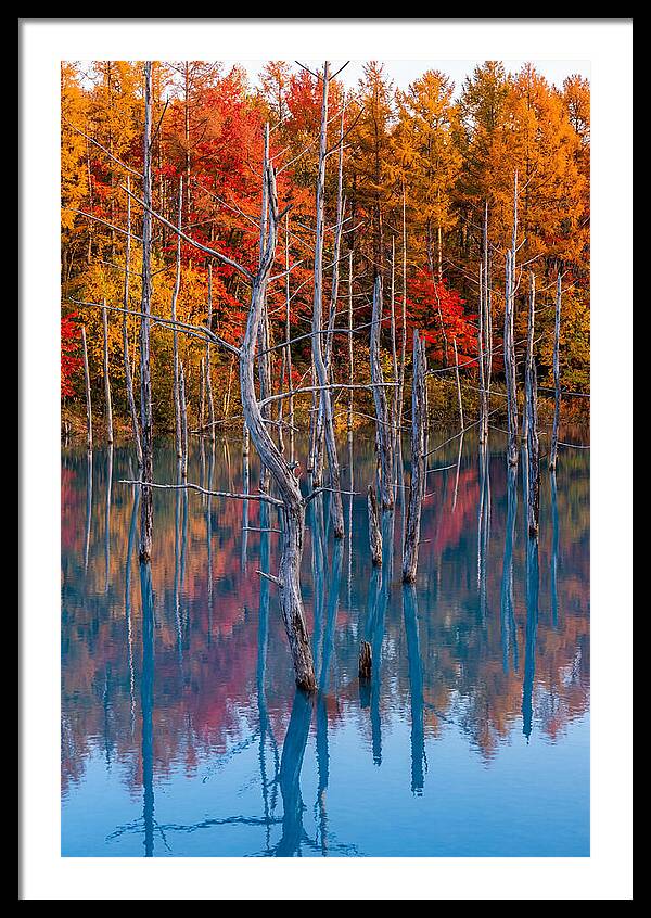 Blue Pond Reflections