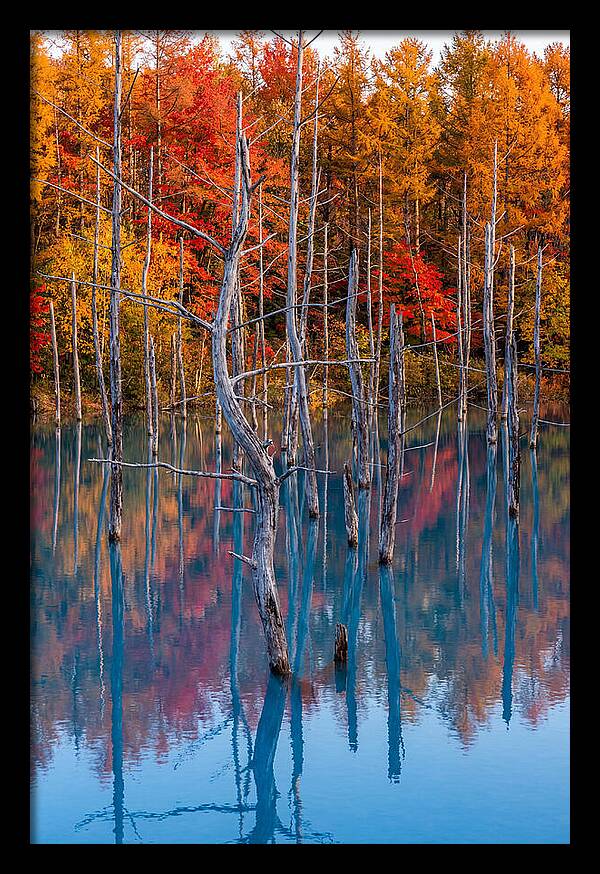 Blue Pond Reflections