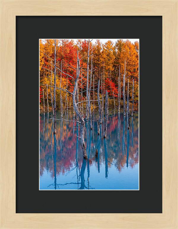 Blue Pond Reflections
