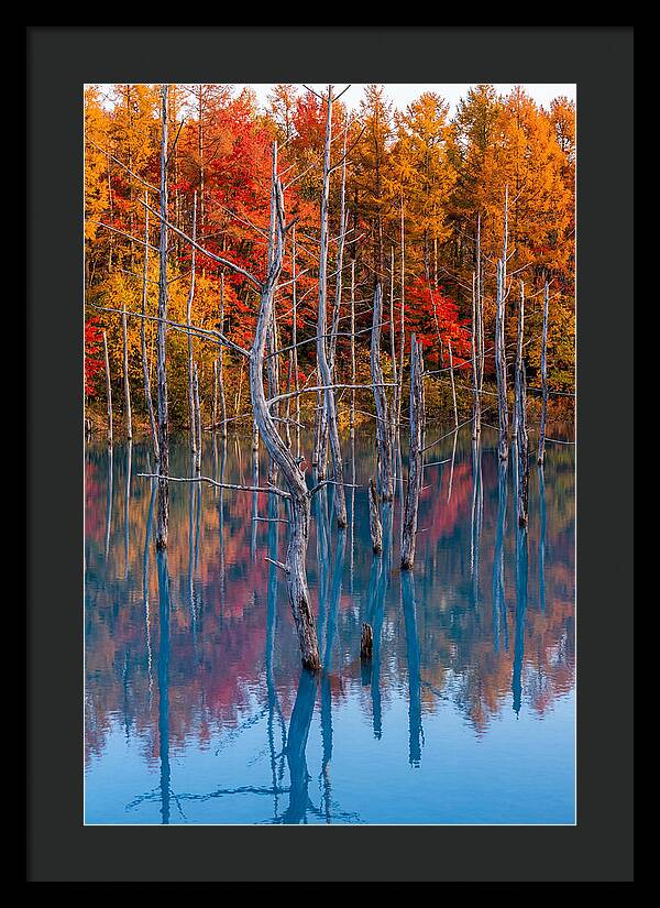 Blue Pond Reflections