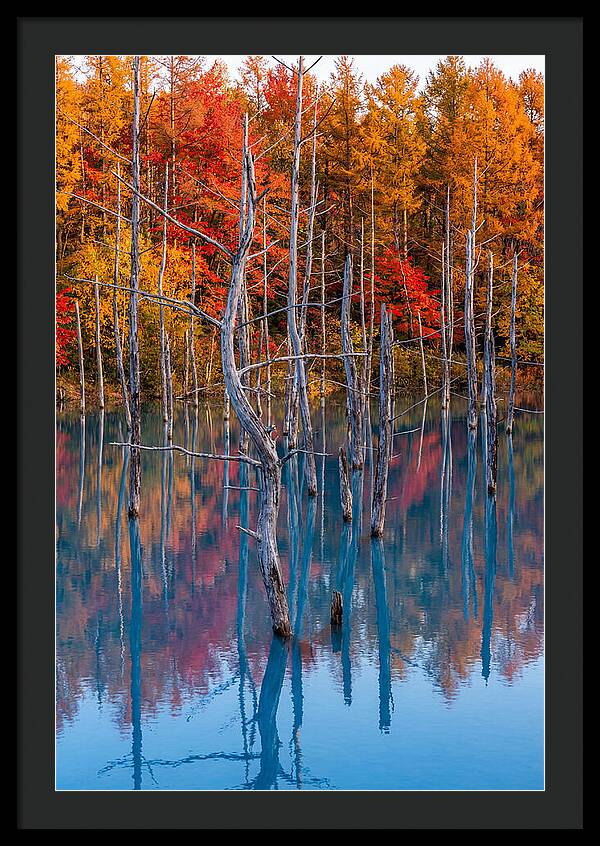 Blue Pond Reflections