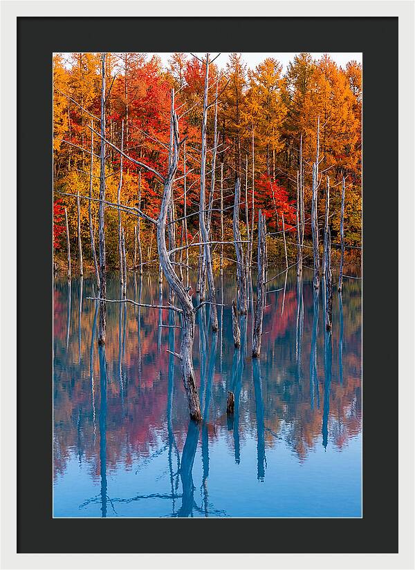 Blue Pond Reflections