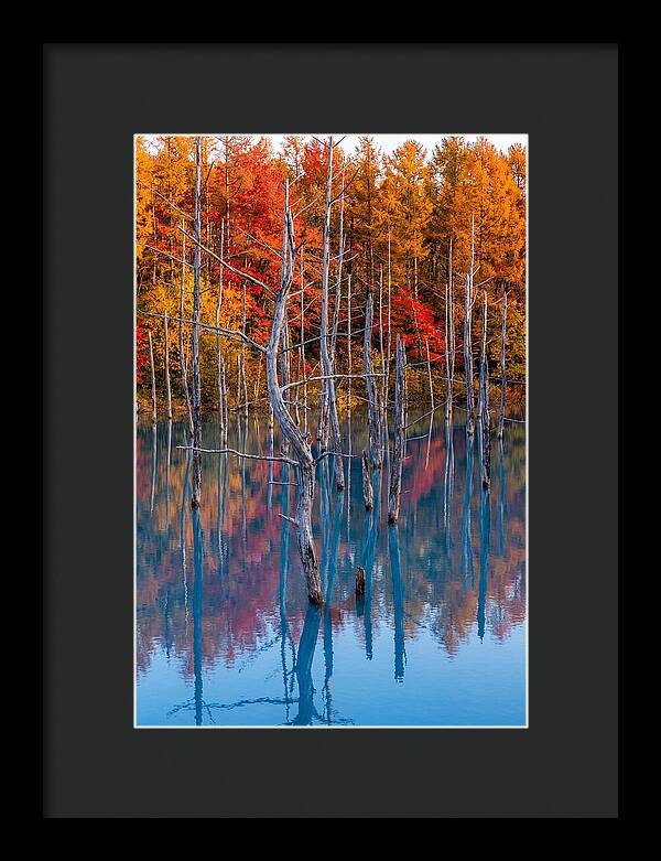 Blue Pond Reflections