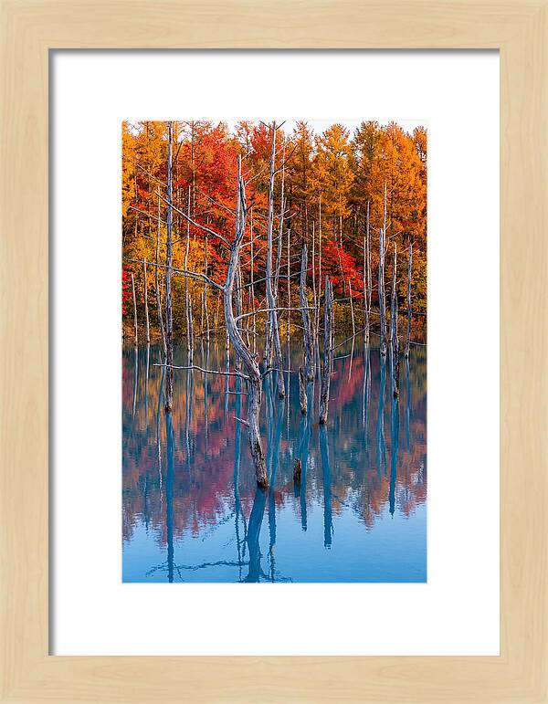 Blue Pond Reflections