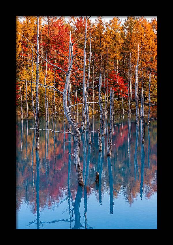 Blue Pond Reflections