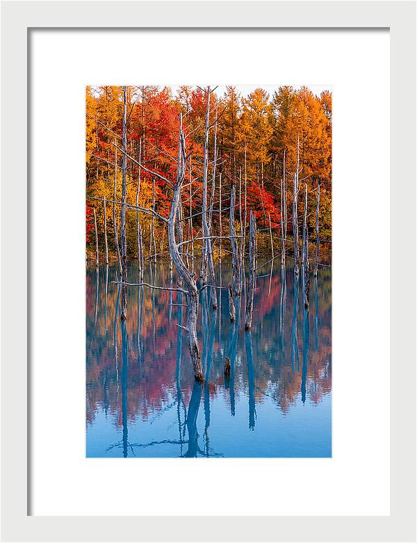 Blue Pond Reflections