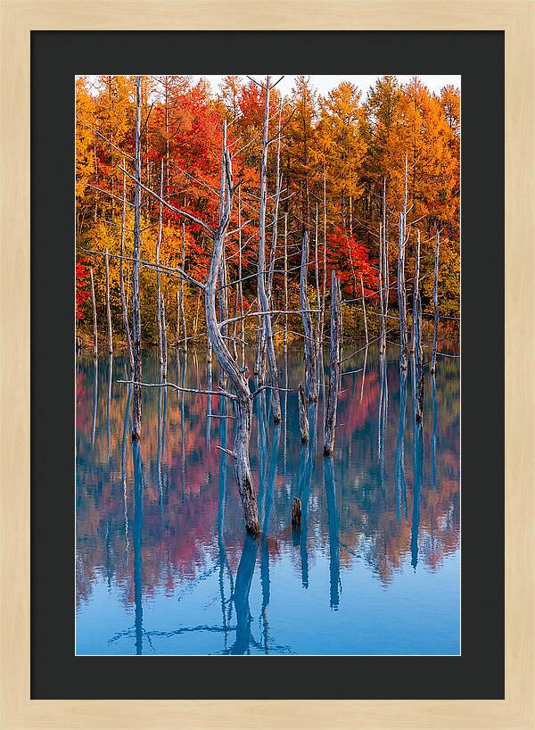 Blue Pond Reflections