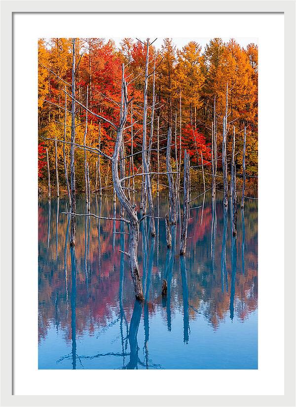 Blue Pond Reflections