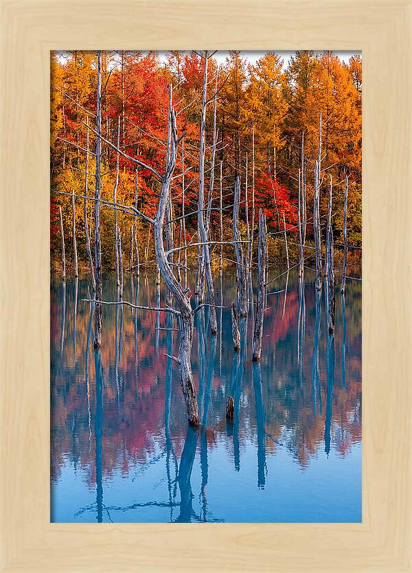 Blue Pond Reflections