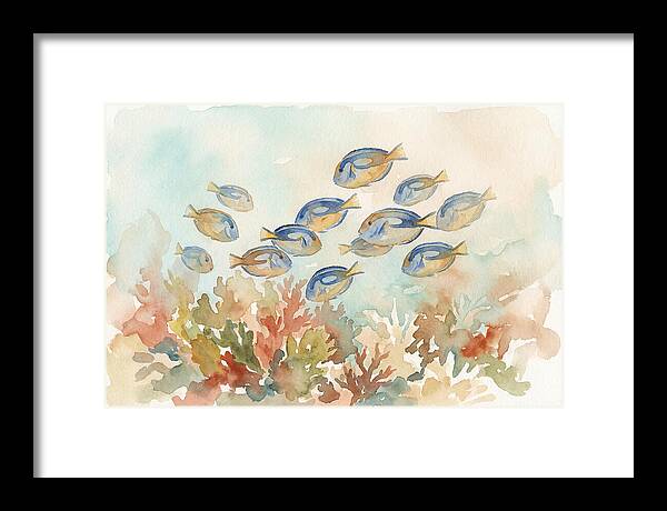 Blue Tang Fish Schooling Over Coral Reef