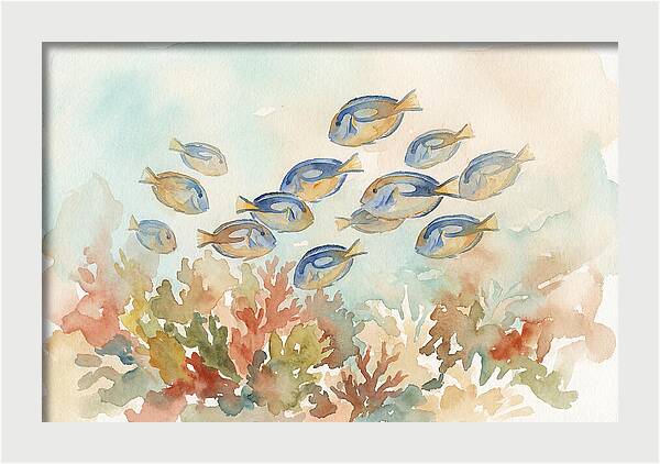 Blue Tang Fish Schooling Over Coral Reef