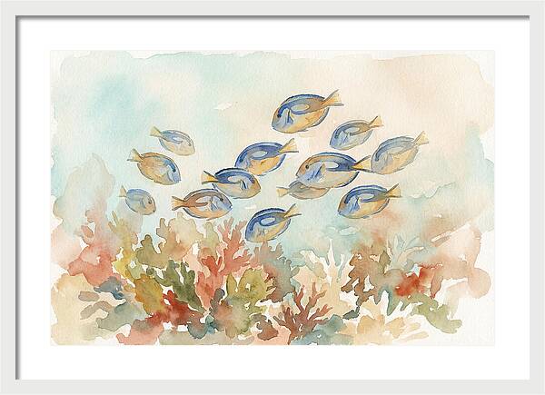 Blue Tang Fish Schooling Over Coral Reef