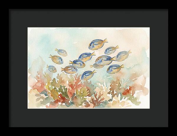 Blue Tang Fish Schooling Over Coral Reef