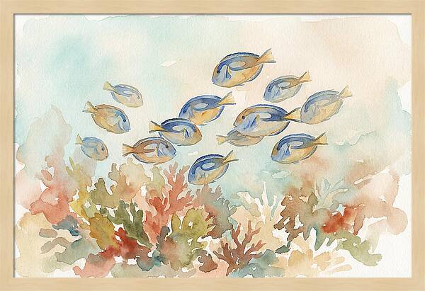 Blue Tang Fish Schooling Over Coral Reef
