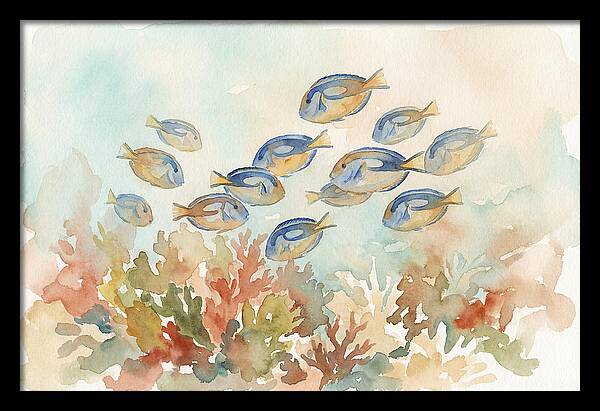 Blue Tang Fish Schooling Over Coral Reef