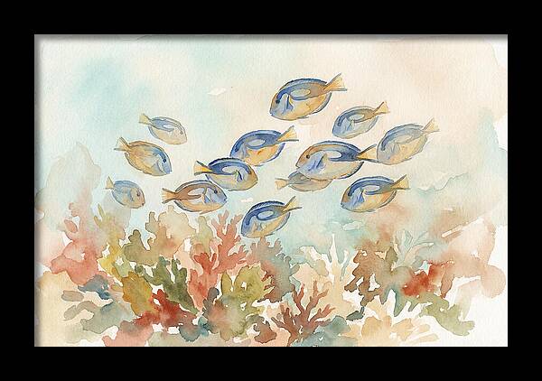 Blue Tang Fish Schooling Over Coral Reef
