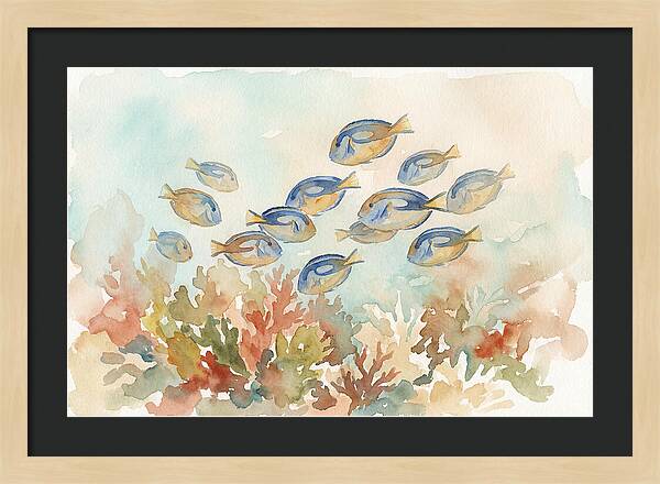 Blue Tang Fish Schooling Over Coral Reef