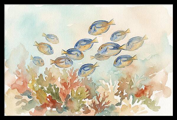 Blue Tang Fish Schooling Over Coral Reef