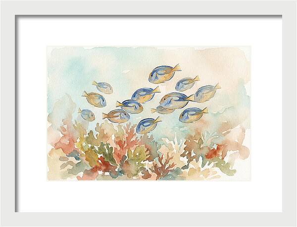 Blue Tang Fish Schooling Over Coral Reef