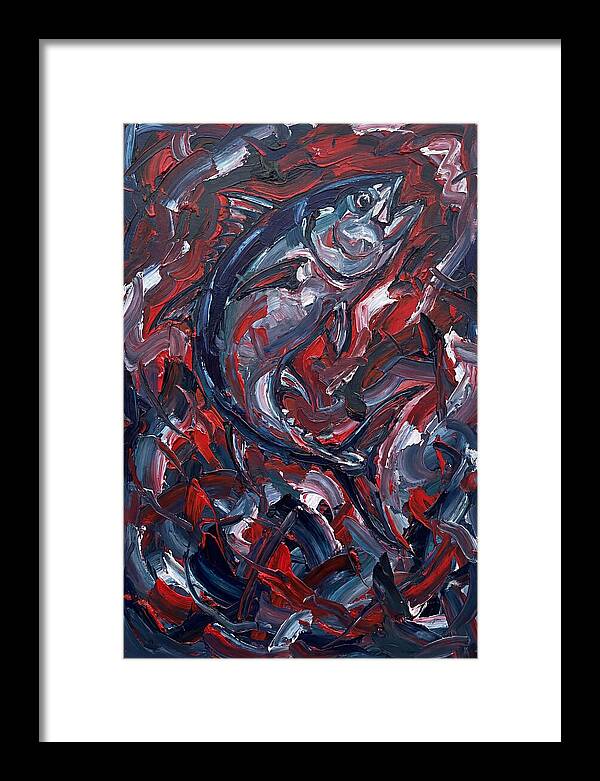 Bluefin Tuna In Motion