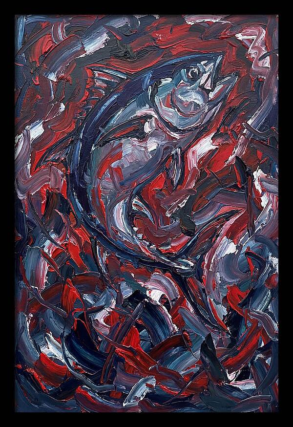 Bluefin Tuna In Motion
