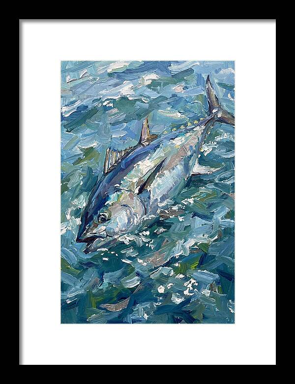 Bluefin Tuna Swimming Gracefully
