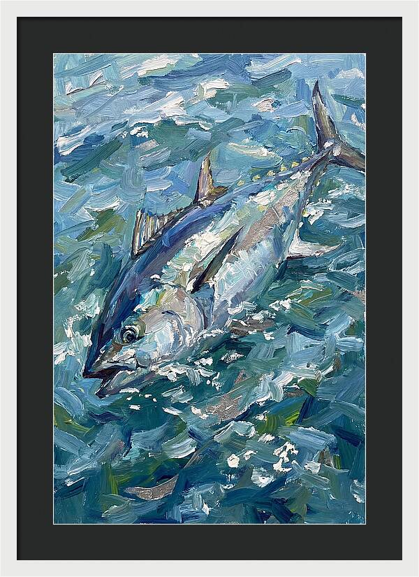 Bluefin Tuna Swimming Gracefully