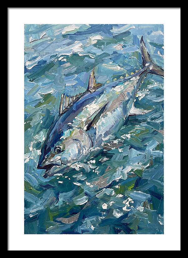 Bluefin Tuna Swimming Gracefully