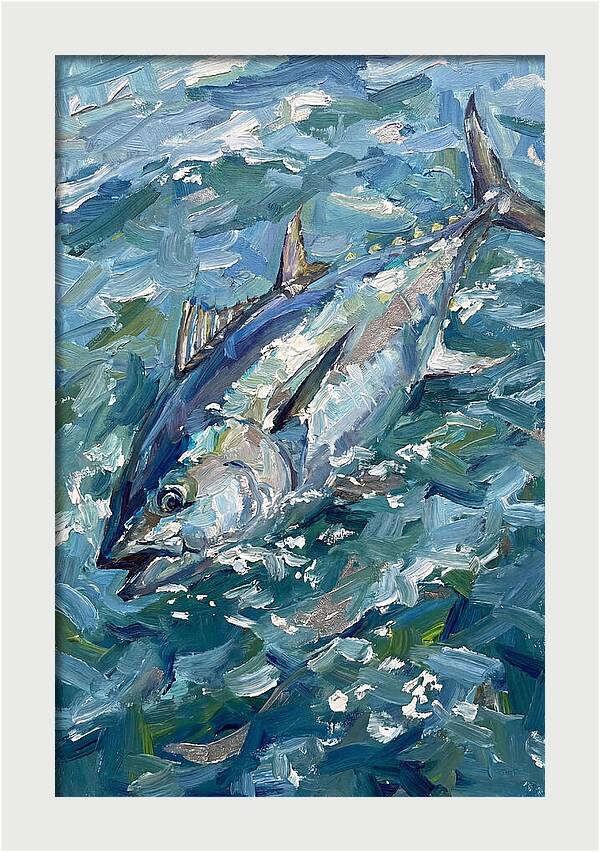 Bluefin Tuna Swimming Gracefully