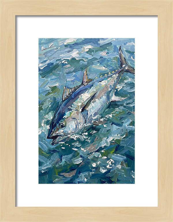 Bluefin Tuna Swimming Gracefully