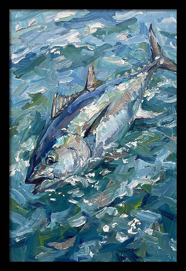 Bluefin Tuna Swimming Gracefully